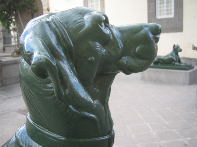 Perro Lenny Kaye